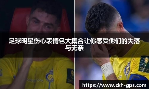 星空·综合体育中国官网